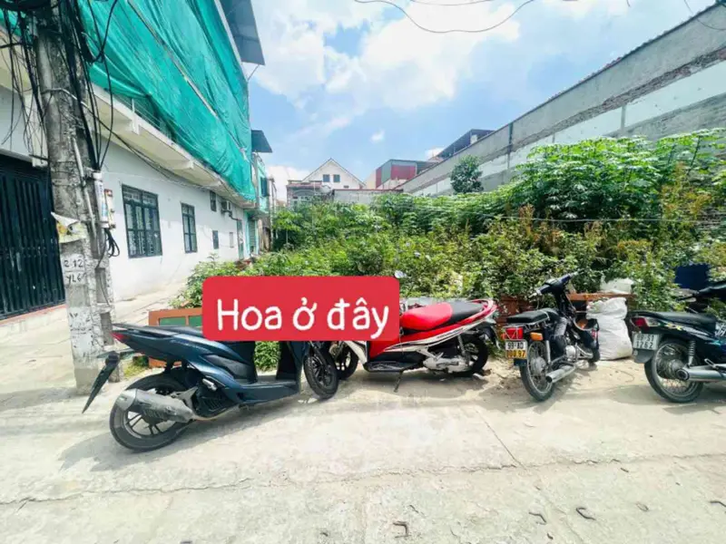 Đất góc siêu hiếm tại Yên Lãng - Bắc Ninh, vị trí vượng khí... Bán đất tại Yên Trung, Bắc Ninh 01