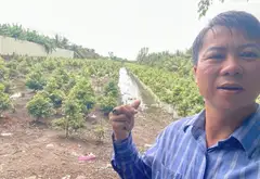 Đất Vuông Vắn Sát Đường Lớn Tại Bình Lợi, Bình Chánh... Bán đất tại Bình Lợi, Hồ Chí Minh 12