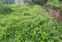 Bán đất thổ cư 51m² ngõ ô tô xã Quang Minh Mê Linh... Bán đất tại Quang Minh, Hà Nội 03