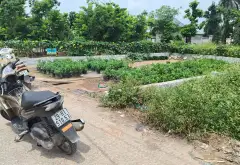 Bán đất thôn 7 Xuân Quan, Văn Giang, Hưng Yên - Đất kinh doanh, ô tô tải tránh, đầu tư tiềm năng... Bán đất tại Văn Giang, Hưng Yên 04