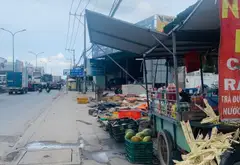 Giá Sốc! Kho Xưởng Mặt Tiền Rộng 39m Tại Bình Chánh... Bán kho, nhà xưởng tại Bình Lợi, Hồ Chí Minh 07