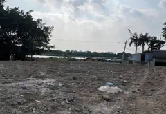 Bán đất xây biệt thự view sông Vàm Thuật, An Phú Đông, 983m2, giá chỉ 35 tỷ... Bán đất tại An Phú Đông, Hồ Chí Minh 02