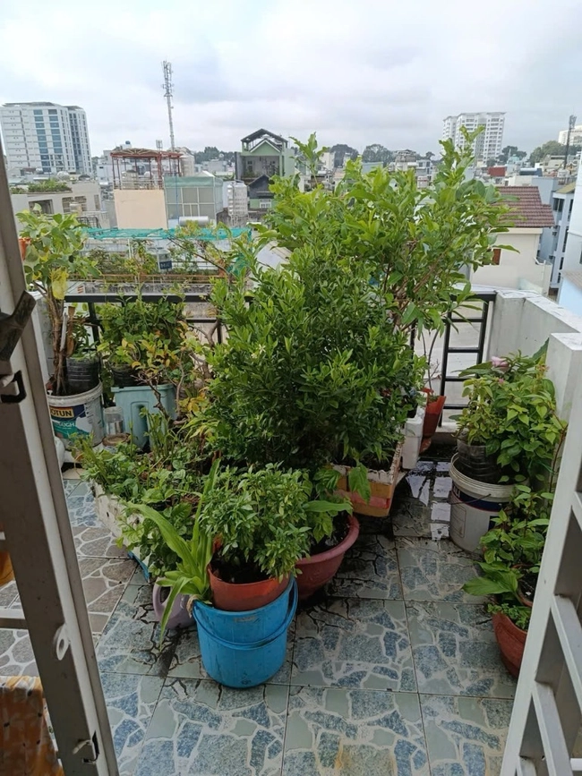 BÁN NHÀ 5 TẦNG, NGUYỄN TIỂU LA, HẺM 3M, GẦN NGUYỄN TRI PHƯƠNG, DIỆN TÍCH 30M2, GIÁ 7.5 TỶ tại Hồ Chí Minh 02