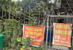 Bán đất phường Yên Nghĩa, Hà Nội, sổ đỏ chính chủ, lô đất 2 mặt ngõ ô tô kinh doanh... Bán đất tại Yên Nghĩa, Hà Nội 01