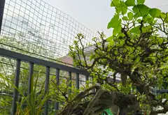 Nhà mặt phố 2 tầng 2PN giá tốt tại xã Đông Thạnh, Hóc Môn cần bán gấp... Bán nhà mặt phố tại Đông Thạnh, Hồ Chí Minh 03