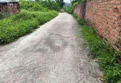 Bán đất thổ cư Sơn Đoài, Tân Minh, Sóc Sơn - Giá đầu tư, ngõ ô tô vào... Bán đất tại Sóc Sơn, Hà Nội 14