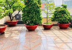 Bán Nhà 4 Tầng Mới Đẹp Mặt Tiền – Sát UBND Q9 – 118m² (7PN) – Giảm Giá Cực Tốt Còn 13.5 Tỷ... Bán nhà mặt phố tại Phước Long, Hồ Chí Minh 05