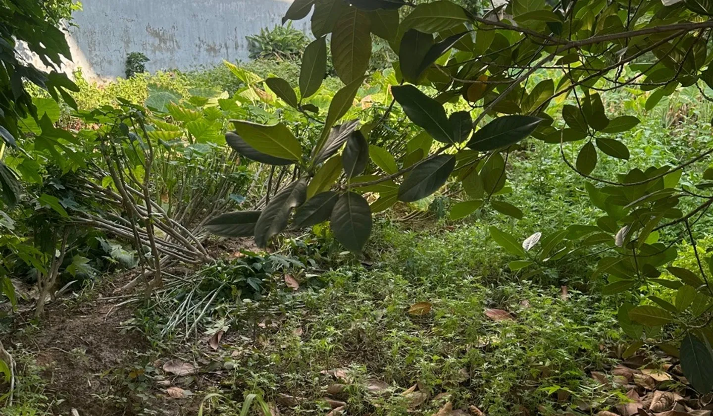 Lô Đất Trung Tâm Phường Hồng An Tiềm Năng Đầu Tư Tại Trung Cư A1... Bán đất tại Hồng An, Hải Phòng 01
