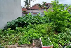 Đất phân lô ô tô tránh, vị trí đắc địa tại Phúc Tiến Biên Giang... Bán đất tại Chương Mỹ, Hà Nội 06