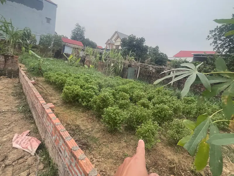Đất đẹp Lập Trí Sóc Sơn – Ô tô tránh, tiềm năng tăng giá cao... Bán đất tại Kim Anh, Hà Nội 01