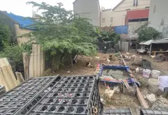 Cơ Hội Sở Hữu Đất Vàng Thôn Yên Ninh – Giá Tốt, Vị Trí Đẹp, Sẵn Sổ Đỏ... Bán đất tại Nội Bài, Hà Nội 01