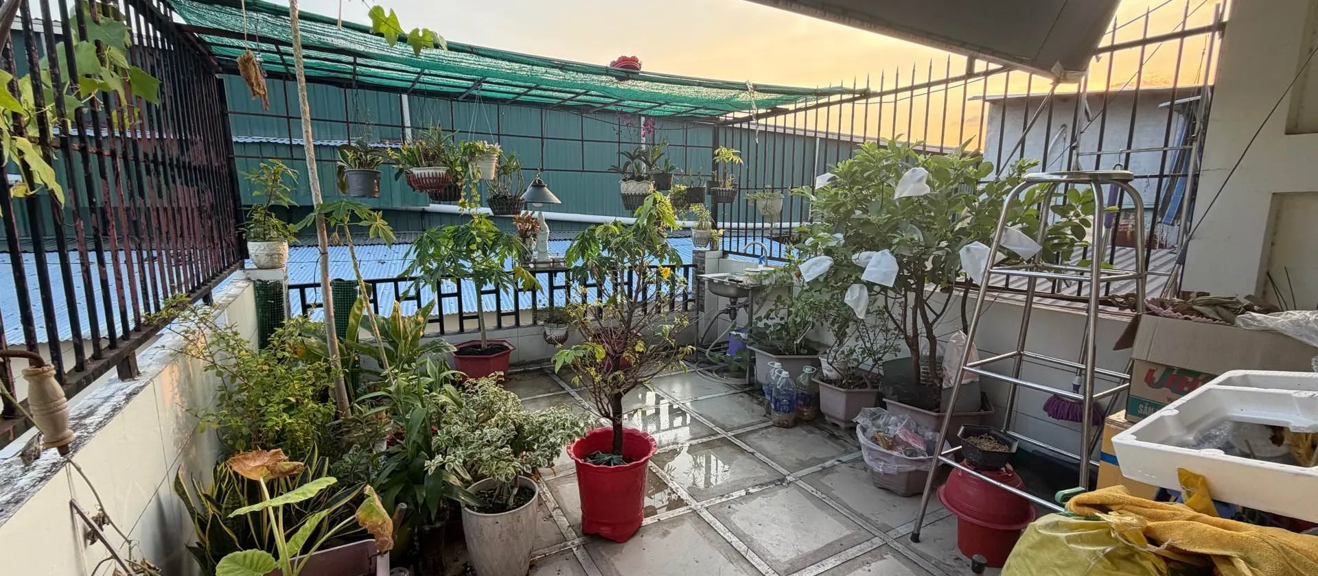 Bán nhà 2 tầng diện tích lớn tại Tân Phú, gần AEON Mall... Bán nhà riêng tại Tân Sơn Nhì, Hồ Chí Minh 01