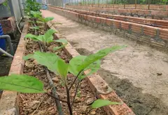 Đất nền thôn 1 xã Thiên Hương, TP Thủy Nguyên, vị trí thuận lợi, tiềm năng sinh lời... Bán đất tại Thiên Hương, Hải Phòng 05