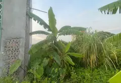 Đất đẹp Mão Điền giá tốt, ô tô vào tận nơi... Bán đất tại Mão Điền, Bắc Ninh 07