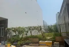 Bán đất 187,5m2 hướng Tây gần biển tại khu Bàu Mạc hòa khánh đà nẵng... Bán đất tại Hòa Khánh, Đà Nẵng 04