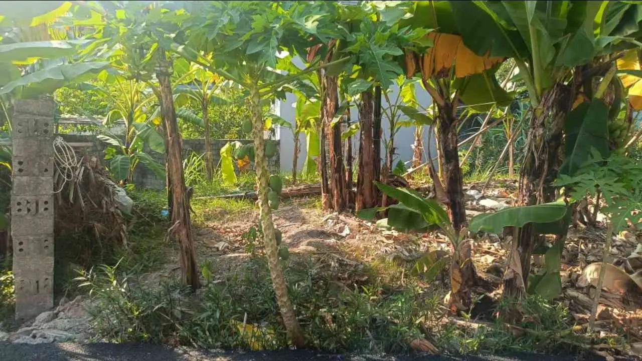 Bán đất 60.3m2 tại phường Hà Lầm, Quảng Ninh hướng nam tiện lợi... Bán đất tại Hà Lầm, Quảng Ninh 01