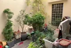 Biệt thự liền kề tại Huỳnh Thúc Kháng - 100m², giá giảm còn 75 tỷ... Bán biệt thự, liền kề tại Đống Đa, Hà Nội 11