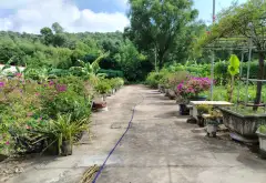Bán đất vuông vắn mặt tiền 5m tại Phùng Dị, Ngọc Xá... Bán đất tại Quế Võ, Bắc Ninh 05