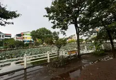 Nhà View Hồ Đẹp, Ô Tô Tránh, Vị Trí Vàng Phúc Lợi... Bán nhà riêng tại Phúc Lợi, Hà Nội 02