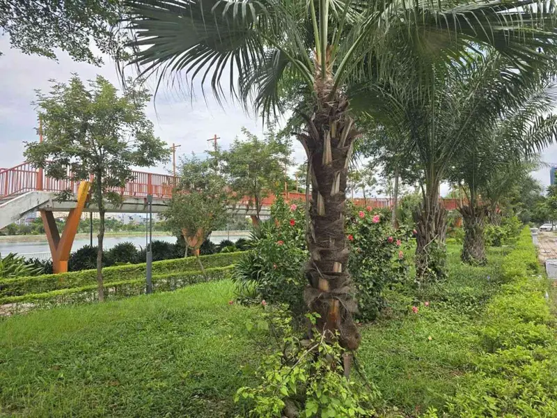 Mảnh đất phân lô tái định cư rộng 30m2 tại Long Biên, phường Bồ Đề... Bán đất tại Bồ Đề, Hà Nội 01