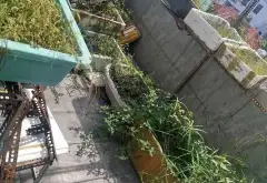 Nhà mặt phố lô góc tại phường Tân Tạo, cơ hội hiếm có để đầu tư sinh lời... Bán nhà mặt phố tại Tân Tạo, Hồ Chí Minh 08