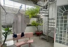 Nhà mặt phố 4 tầng, diện tích 50m2, giá 11.4 tỷ tại Quận 7... Bán nhà mặt phố tại Tân Hưng, Hồ Chí Minh 12
