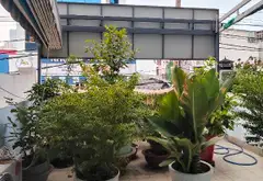 Cơ Hội Sở Hữu Nhà Mặt Phố Kinh Doanh Siêu Đẹp Tại Bình Tân... Bán nhà mặt phố tại Bình Tân, Hồ Chí Minh 07