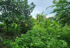 Lô Đất Vuông Vắn Ngay Sát Cầu Ngọc Hồi - Cơ Hội Vàng Đầu Tư hoặc Xây Nhà Ở... Bán owner_side tại Thanh Trì, Hà Nội 08