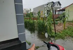 Thửa đất số 411, tờ bản đồ số 35, thôn CD Quán Trạch, Liên Nghĩa, Văn Giang, Hưng Yên... Bán đất tại Văn Giang, Hưng Yên 08