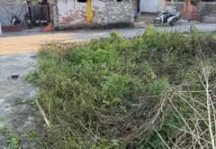 lô góc hướng Nam tại Mỹ Hào, mặt tiền rộng, pháp lý rõ ràng... Bán đất tại Thượng Hồng, Hưng Yên 03