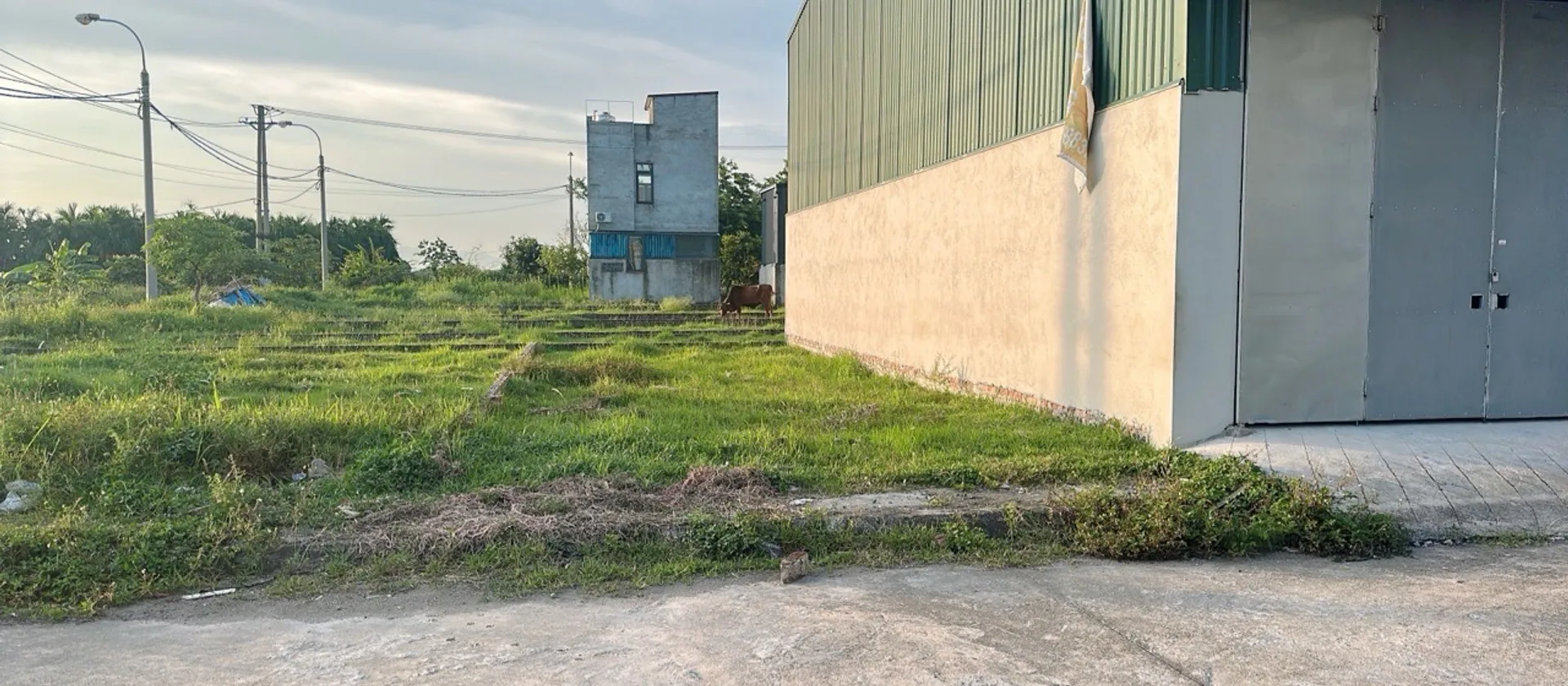 Bán đất thổ cư 80m2 mặt tiền 5.3m tại Nguyên Khê, pháp lý cơ sở, giá tốt... Bán đất tại Phúc Thịnh, Hà Nội 01
