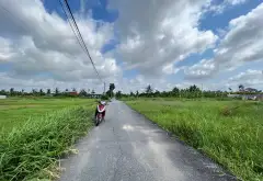 Cơ hội sở hữu lô đất góc thổ cư tuyệt đẹp tại Đồ Sơn... Bán đất tại Đồ Sơn, Hải Phòng 04