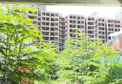 Bán đất mặt tiền kinh doanh xã Phước Kiển, Nhà Bè, diện tích 336 m2... Bán đất tại Nhà Bè, Hồ Chí Minh 06