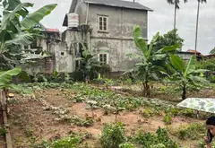 Đất Văn Giang - Đầu tư xịn, ôtô vào tận nơi
thôn quán trạch... Bán đất tại Văn Giang, Hưng Yên 05