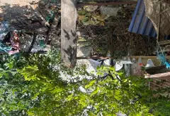 Mảnh đất vàng phố Mã Phù Linh, Sóc Sơn chờ chủ mới... Bán đất tại Sóc Sơn, Hà Nội 02