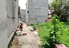 Đất phân lô giá tốt, ô tô nhỏ vào tận nơi, sẵn sàng xây nhà trọ... Bán đất tại Phương Liễu, Bắc Ninh 05