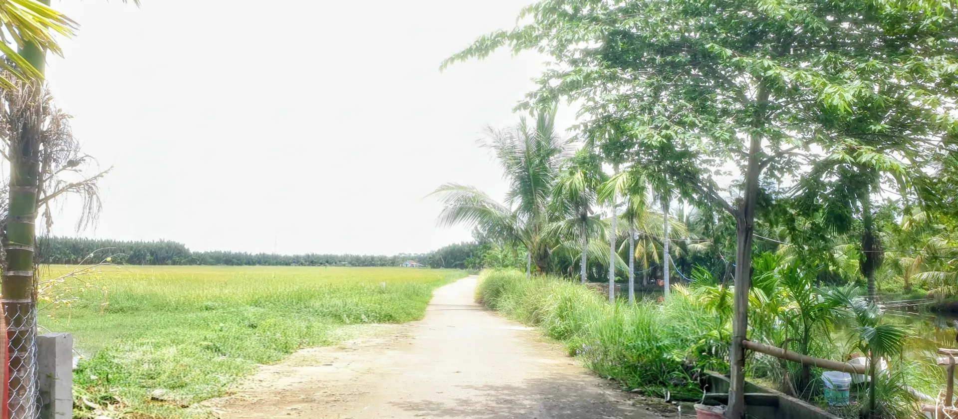 Bán Căn Nhà 268.7m.Cạnh Hồ Tôm,Bên Cánh Đồng Lúa Xanh Mát.Tọa Lạc Cẩm Thanh.Hội An.... Bán bất động sản khác tại Hội An Đông, Đà Nẵng 01