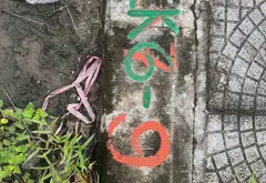 Đất đẹp giá sốc gần trung tâm Vân Hà... Bán đất tại Chi Lăng, Bắc Ninh 01