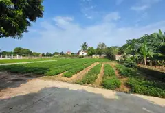ĐẤT BẮC NINH GIÁ RẺ... Bán đất tại Hiệp Hòa, Bắc Ninh 02