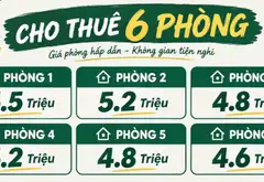 Bán chdv 6 phòng dòng tiền 30tr/th - 4 tầng hoàn công đủ chỉ 6.x tỷ... Bán nhà riêng tại Bình Lợi Trung, Hồ Chí Minh 18