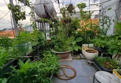 Cơ hội sở hữu nhà mặt phố đắc địa tại KDC Vĩnh Lộc với giá ưu đãi hiếm có... Bán nhà mặt phố tại Bình Tân, Hồ Chí Minh 17