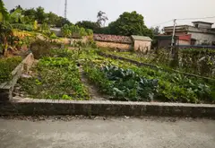 Bán lô đất ở full thổ cư tại thôn Thanh Trí, xã Minh Phú, huyện Sóc Sơn. Giá Tốt Hiện Nay... Bán đất tại Kim Anh, Hà Nội 01