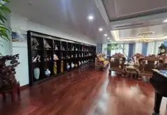 Biệt Thự Shop House Marina Ecopark Hai Mặt Phố - Đỉnh Cao Đẳng Cấp Và Kinh Doanh... Bán biệt thự, liền kề tại Phụng Công, Hưng Yên 04