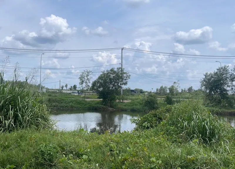 Bán đất mặt tiền đường Trần Hải Phụng, diện tích 1270 m2... Bán đất tại Tân Vĩnh Lộc, Hồ Chí Minh 01