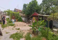 Bán đất 196m² mặt tiền 10m đường ô tô vào tại Ninh Xá, Thuận Thành, Bắc Ninh... Bán đất tại Ninh Xá, Bắc Ninh 05