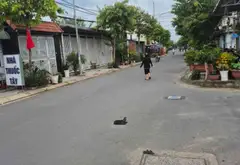 Nhà mặt tiền rộng rãi, kinh doanh sầm uất tại Hóc Môn... Bán nhà mặt phố tại Hóc Môn, Hồ Chí Minh 06