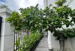 Biệt thự góc hai mặt tiền sở hữu view hồ và công viên tại Vinhomes Imperia... Bán biệt thự, liền kề tại Hồng Bàng, Hải Phòng 09