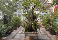 Bán nhà phố 9 tầng hướng tại khu vực Linh Đàm, diện tích 90m², phù hợp kinh doanh và văn phòng... Bán nhà mặt phố tại Định Công, Hà Nội 13