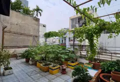 Nhà mặt phố Tây Thạnh 3 tầng, ngang 8m, giá 15.3 tỷ... Bán nhà mặt phố tại Tây Thạnh, Hồ Chí Minh 11