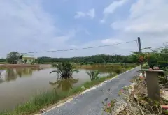 Bán đất 3380m2 mặt tiền 38m tại An Thới Đông Cần Giờ, giá 5.3 tỷ... Bán đất tại An Thới Đông, Hồ Chí Minh 06